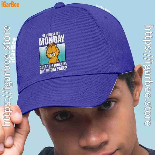 2 garfield of course its monday friday face blue hat men
