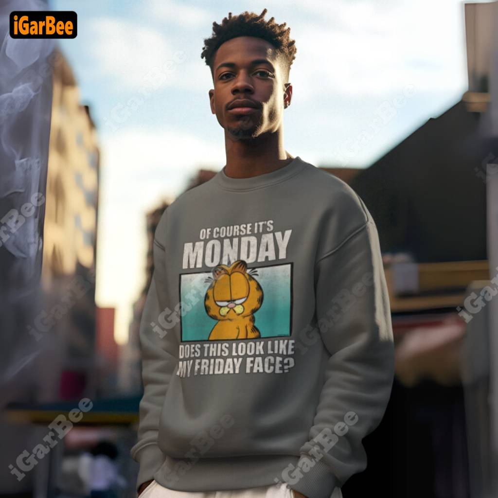 gray cotton cozy garfield sweatshirt for men gray cotton cozy Garfield sweatshirt for men